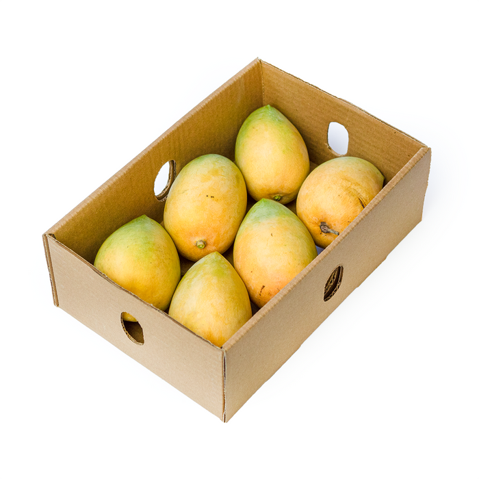 Kesar Mango (1.5kg)