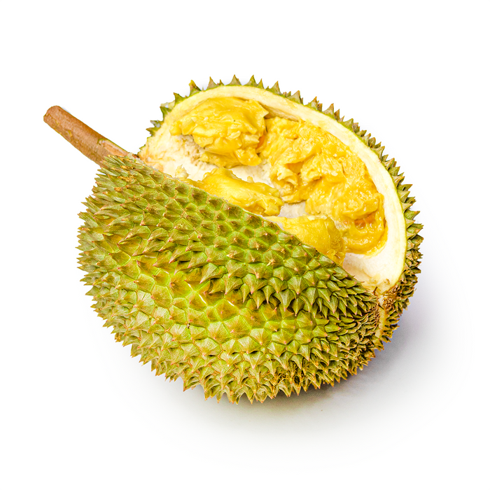 Kradum Thong Durian (3.5lbs)