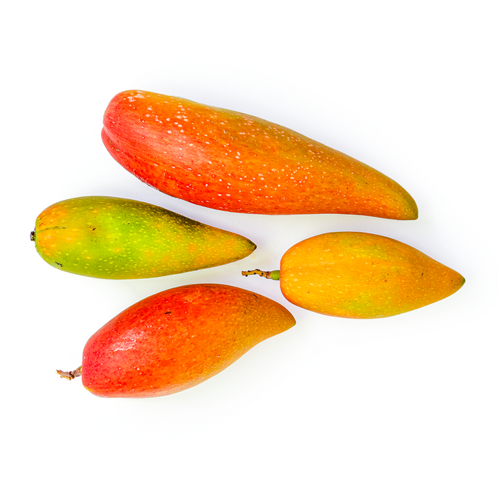 Lajiao Mango