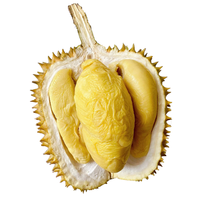 Thai Laplae Durian