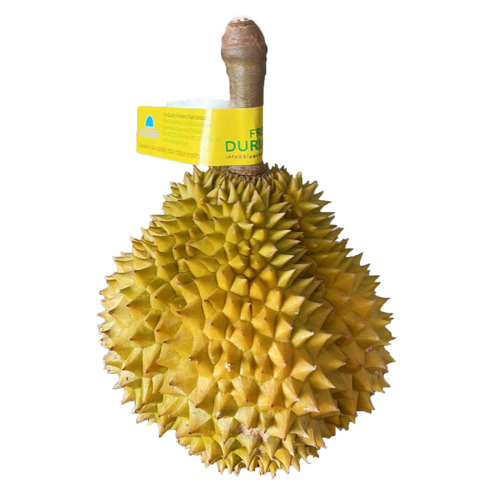 Thai Laplae Durian