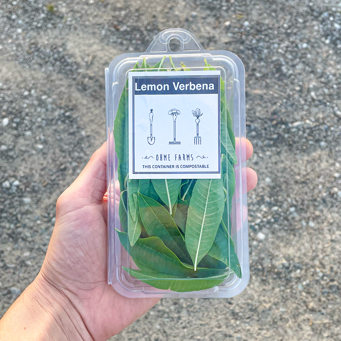 Lemon Verbena (8oz)