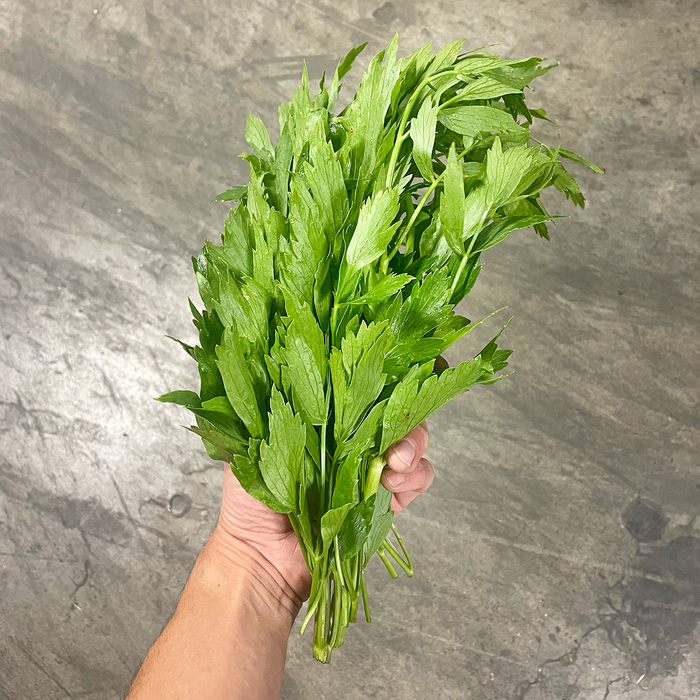 Lovage (100g)