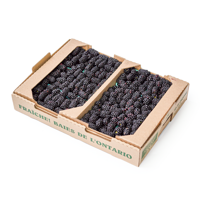 Ontario Blackberries (8oz)