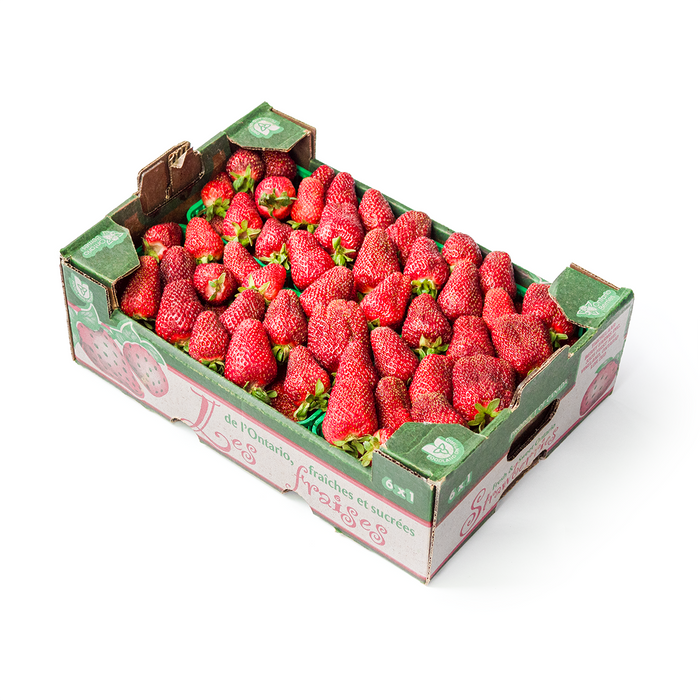 Ontario Strawberries