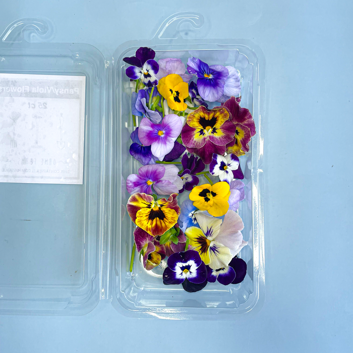 Pansy Flowers (25ct)