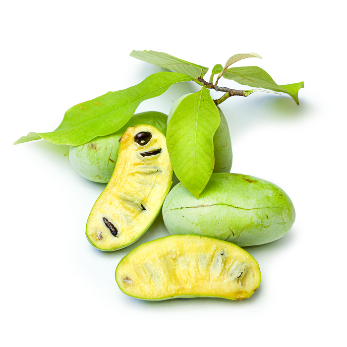 Pawpaw (1lb)