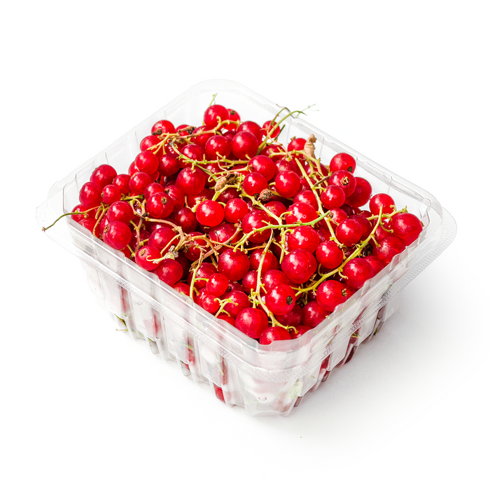 Red Currants (10oz)