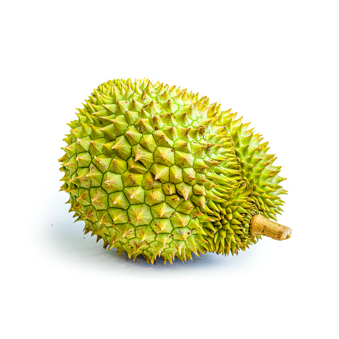 RI-6 Durian (4lb)