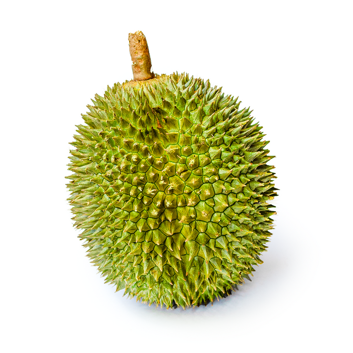 Salikka Durian