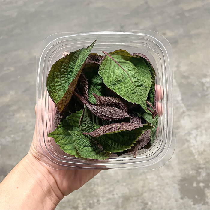 Shiso Bi-Colour Leaves