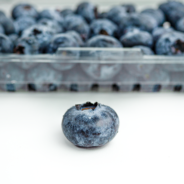 Blueberries (11oz)