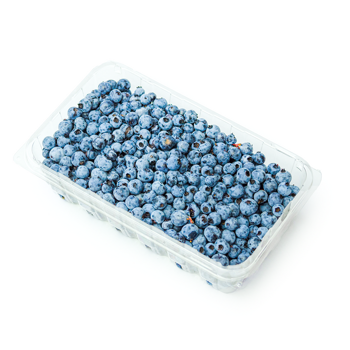 Wild Blueberries (1lb)