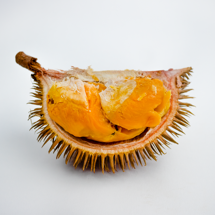 Wild Durian
