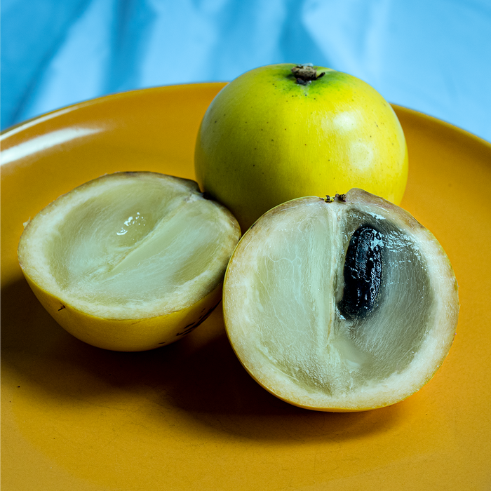 Golden Milk Fruit (Abiu)