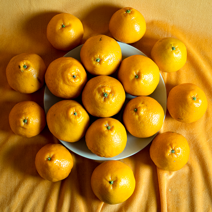 Japanese Jelly Orange (6.6lb)