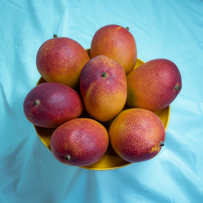 Peruvian Kent Mango