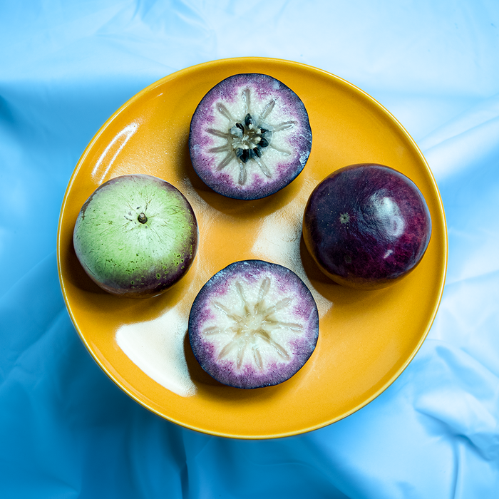 Jumbo Purple Star Apple (Milk Fruit)