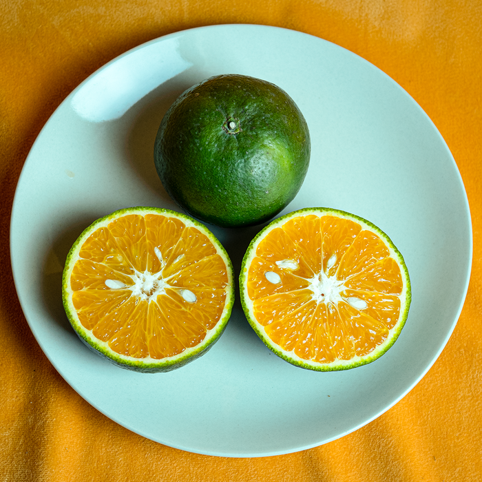 Terracotta Orange "Cam Sành"; Organic