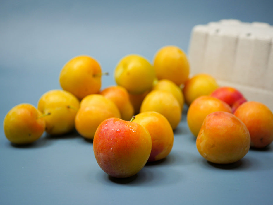 Early Golden Plums (2.5lbs)