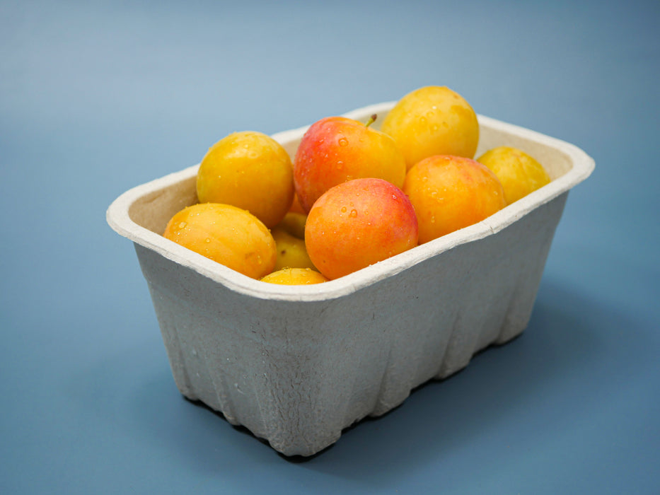 Early Golden Plums (2.5lbs)