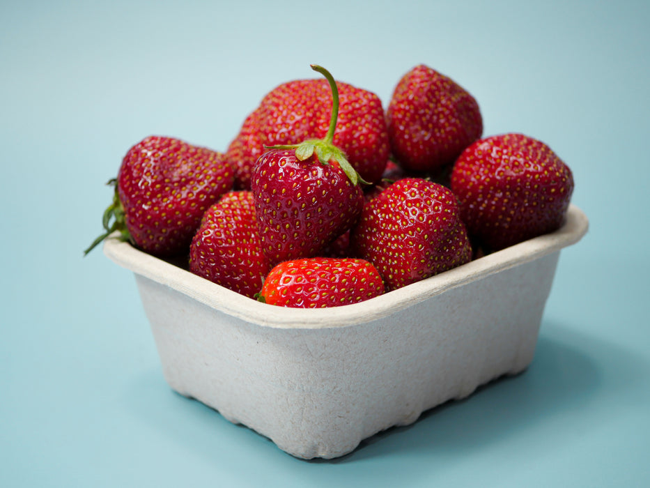 Strawberries, June Bearing; "Jewel"